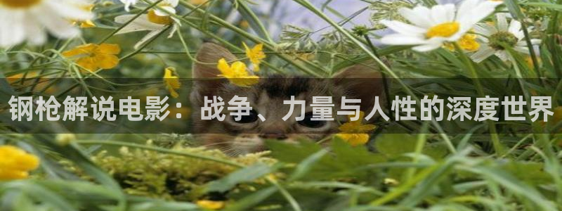 青苹果影视yy4480：钢枪解说电影：战争、力量与人性的深度世界