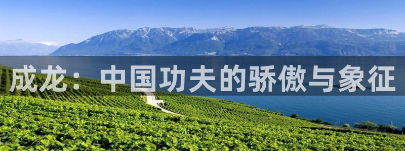 青苹果影院 6090：成龙：中国功夫的骄傲与象征