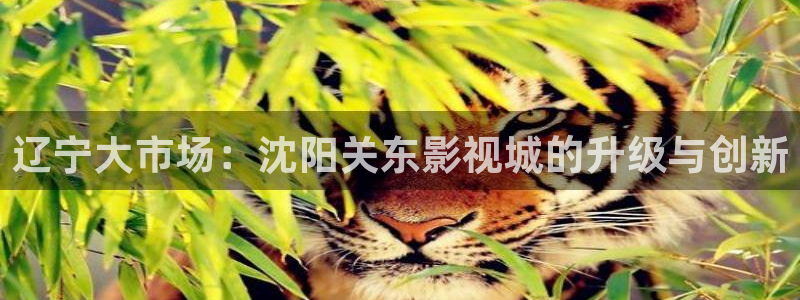 青苹果影院观看视频：辽宁大市场：沈阳关东影视城的升级与创新