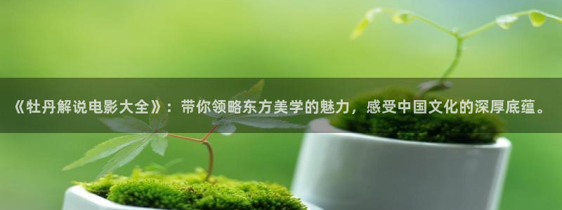 青苹果影院电视剧在线观看：《牡丹解说电影大全》：带你领略东方美学的魅力，感受中国文化的深厚底蕴。