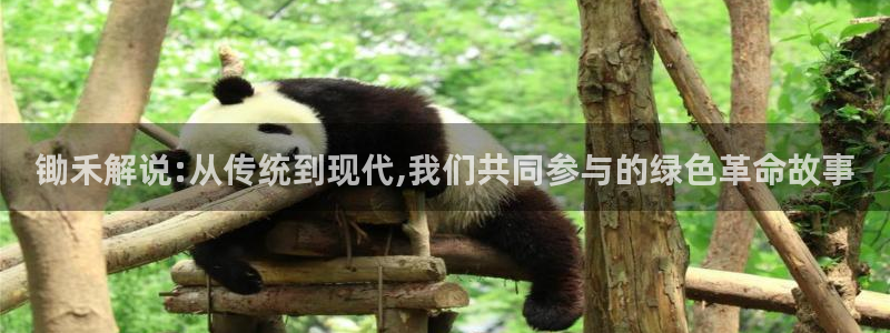 4488青苹果电影院：锄禾解说:从传统到现代,我们共同参与的绿色革命故事