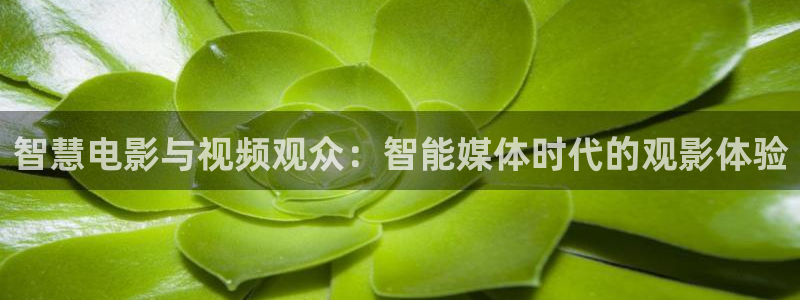 青苹果影院色戒：智慧电影与视频观众：智能媒体时代的观影体验