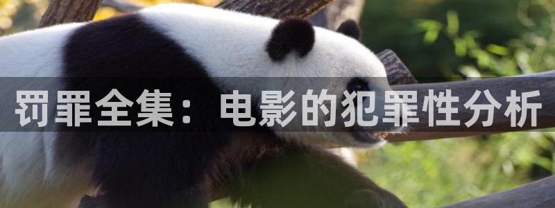 青苹果电视剧