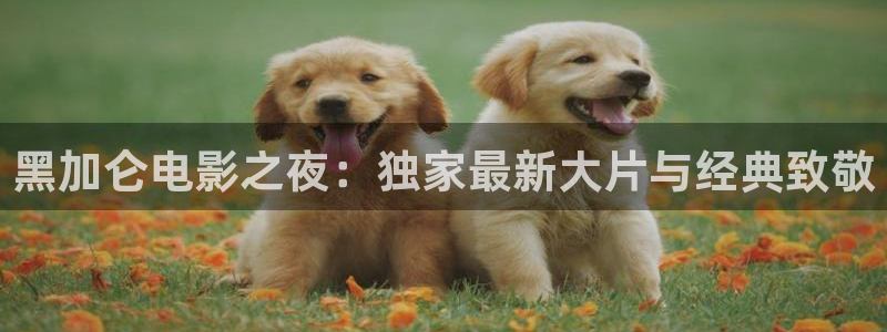 青苹果免费电影院