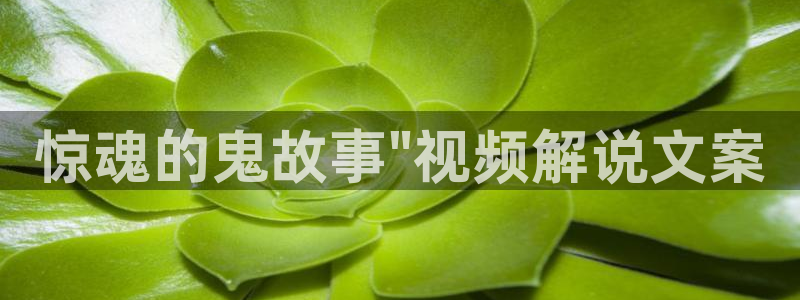 4480首播电影院青苹果：惊魂的鬼故事\
