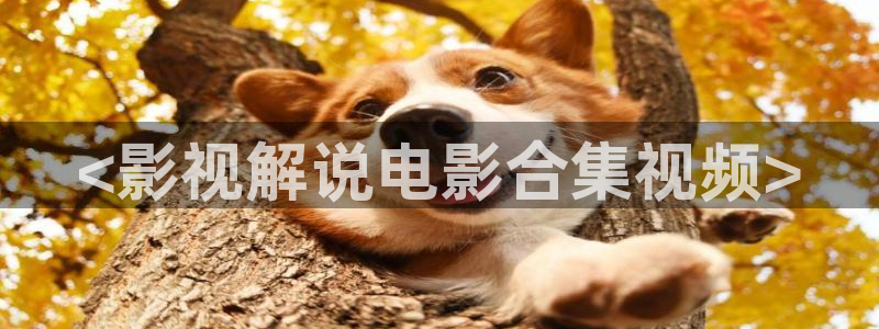 青苹果乐园在线观看电视剧免费：<影视解说电影合集视频>