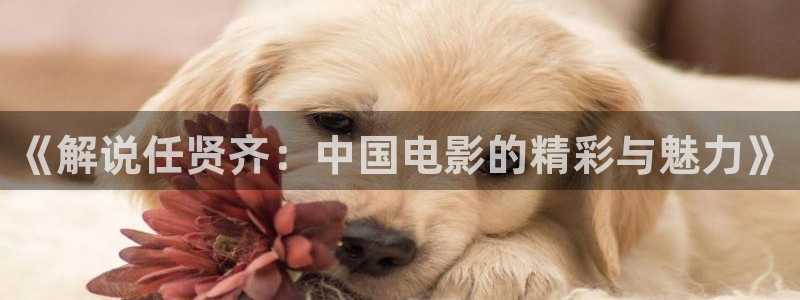 青苹果乐园免费高清在线观看