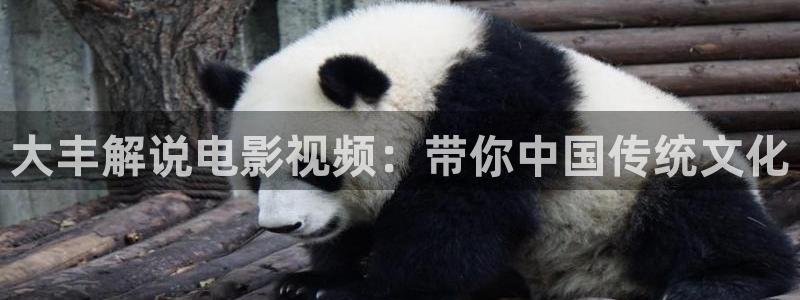 448000青苹果影视院