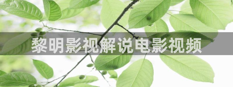 青苹果乐园影院免费观看电视剧 小说：黎明影视解说电影视频