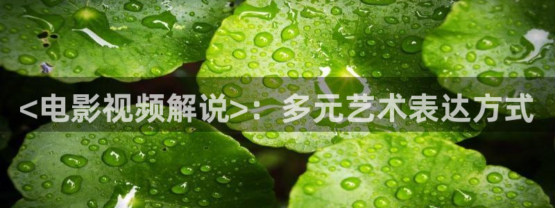 青苹果电影免费：<电影视频解说>：多元艺术表达方式