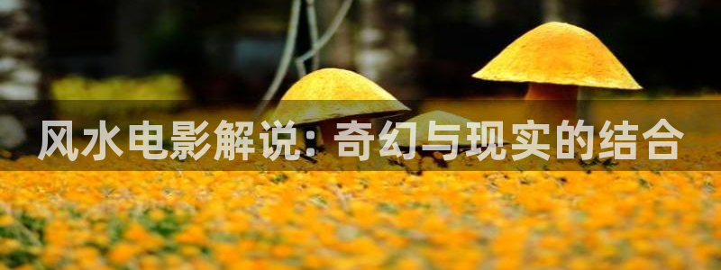 青苹果电影完整版观看：风水电影解说: 奇幻与现实的结合