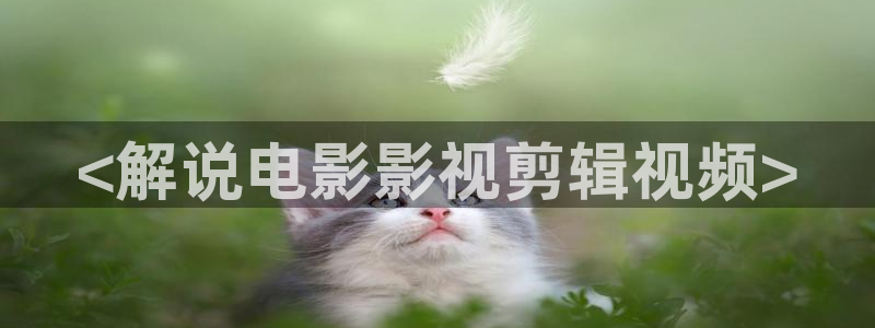 yy4480万利达青苹果私人影院：<解说电影影视剪辑视频>