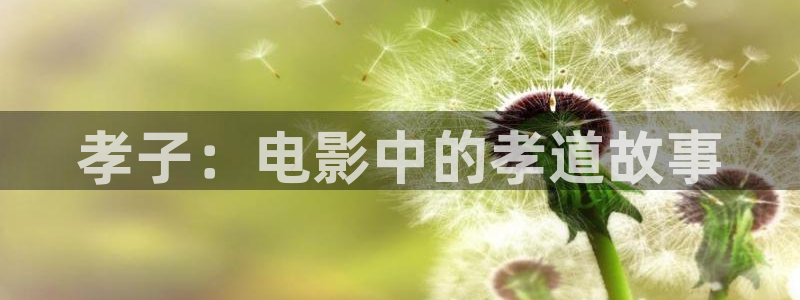 青苹果高清影院yy6080：孝子：电影中的孝道故事
