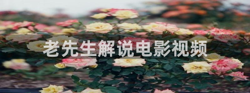 青苹果影院2020电视剧大全：老先生解说电影视频
