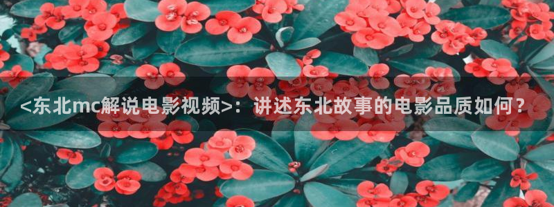 青苹果影院高清电视剧免费观看：<东北mc解说电影视频>：讲述东北故事的电影品质如何？