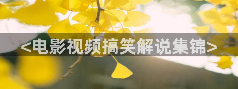 4480新视觉影院青苹果：<电影视频搞笑解说集锦>