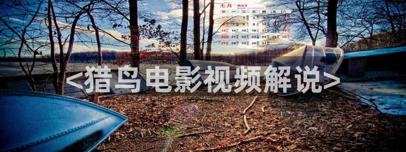 yy4060青苹果乐园在线观看免费播放电视剧：<猎鸟电影视频解说>