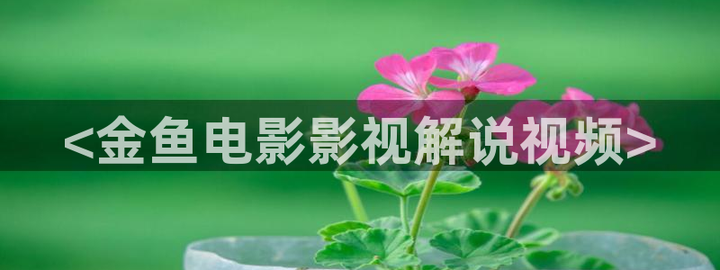 yy4480青苹果影院免费：<金鱼电影影视解说视频>