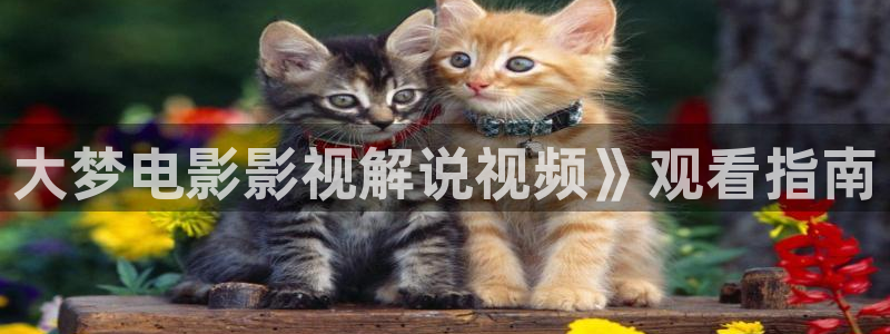 80青苹果影院：大梦电影影视解说视频》观看指南