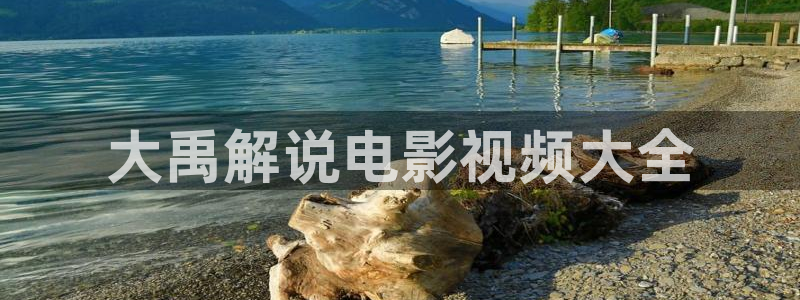 青苹果在线影院：大禹解说电影视频大全