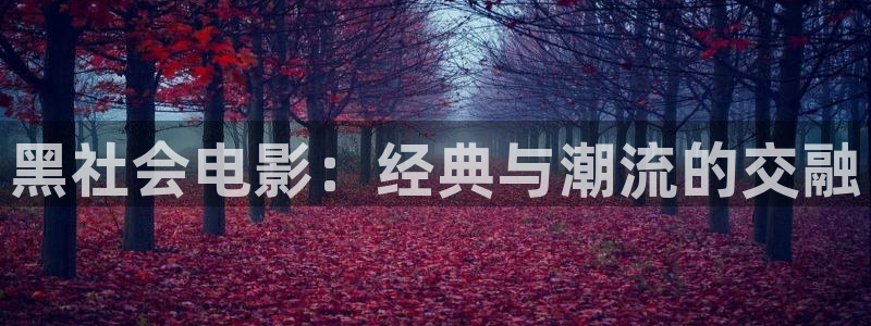 yy6090青苹果影院：黑社会电影：经典与潮流的交融