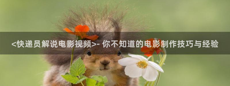 yy6029青苹果乐园免费播放电视剧：<快递员解说电影视频>- 你不知道的电影制作技巧与经验