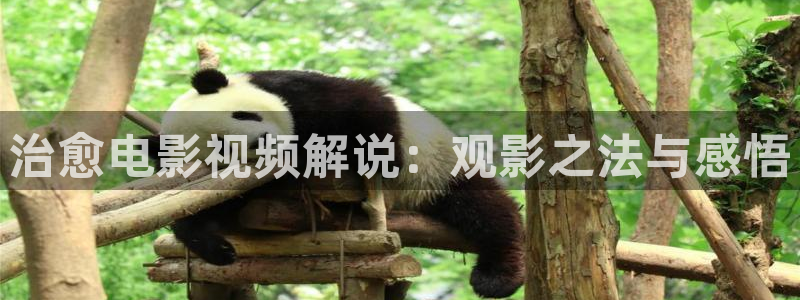 青苹果在线影院免费播放电视剧网站