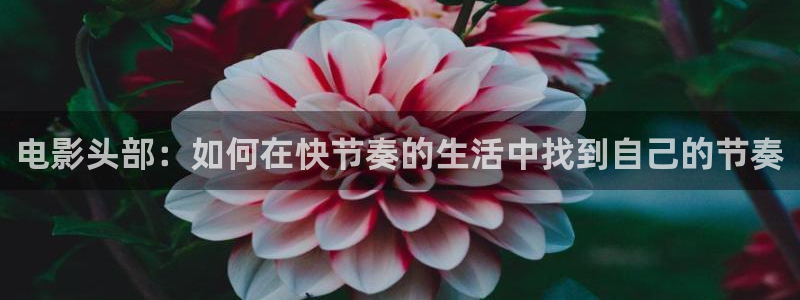 yy4008青苹果影院