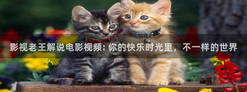 青苹果电影完整