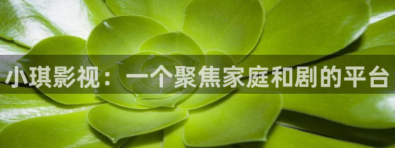 4480青苹果乐园免费观看电视剧影视大全