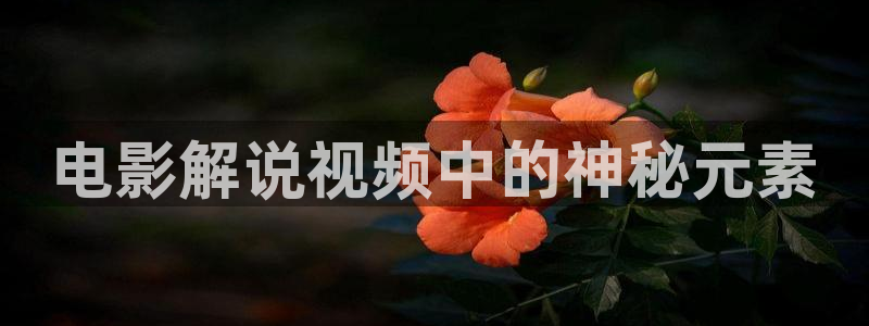 青苹果电影下载
