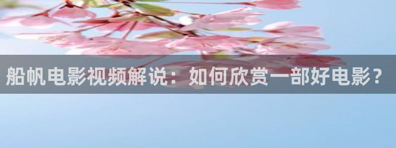 新视觉青苹果影院