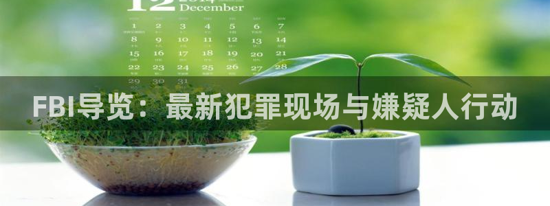 6090青苹果乐园在线观看免费完整版