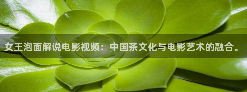 青苹果乐园影院电视剧更新时间