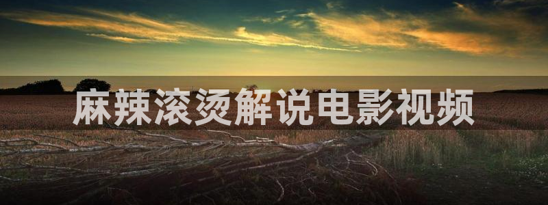 青苹果乐园影院电视剧免费播放下载：麻辣滚烫解说电影视频
