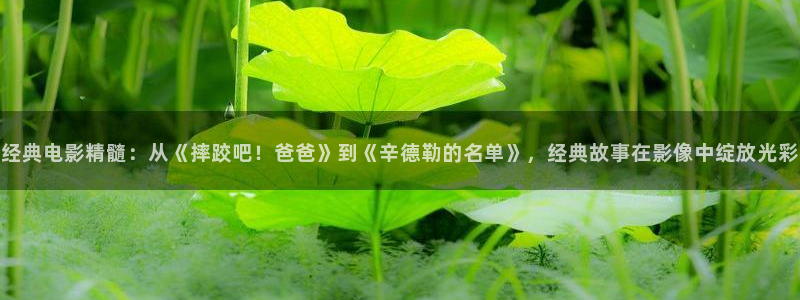 青苹果在线观看免费高清：经典电影精髓：从《摔跤吧！爸爸》到《辛德勒的名单》，经典故事在影像中绽放光彩