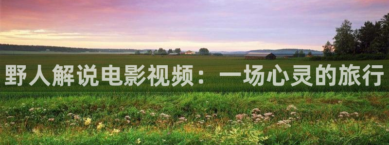 k8yy青苹果影院：野人解说电影视频：一场心灵的旅行