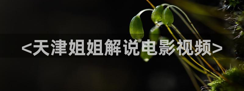 yy4800万达影院青苹果：<天津姐姐解说电影视频>