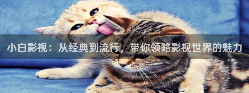 青苹果网站影院：小白影视：从经典到流行，带你领略影视世界的魅力